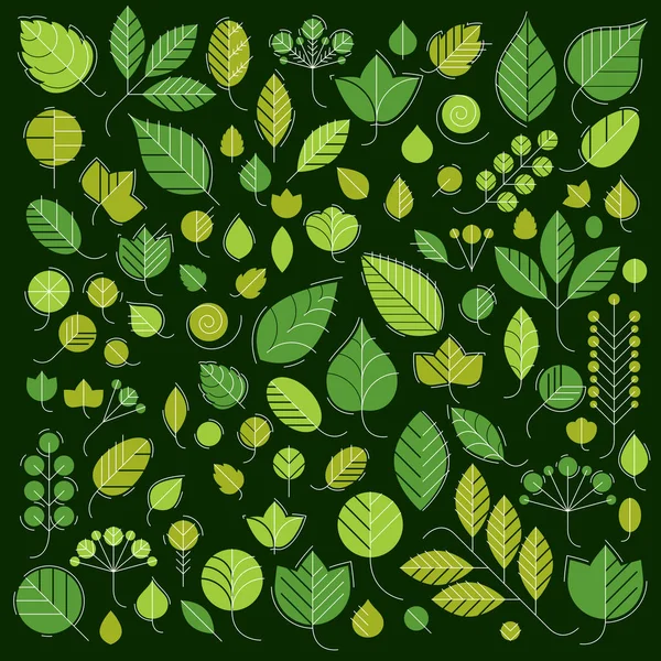 Green tree leaves — Stock Vector