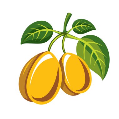 Kayısı basit simgesi