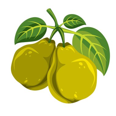 İki tatlı armut simgesi