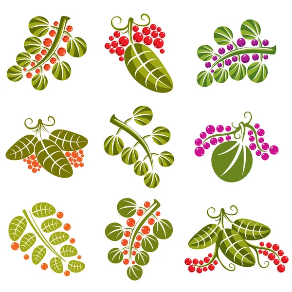 Set di foglie verdi primaverili — Vettoriale Stock