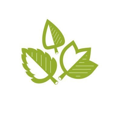 grafik yeşil yaprakları