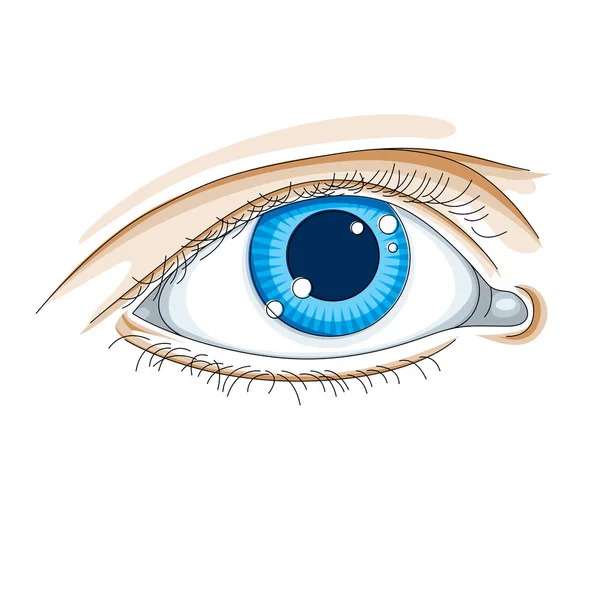 Дизайн человеческого глаза — стоковый вектор