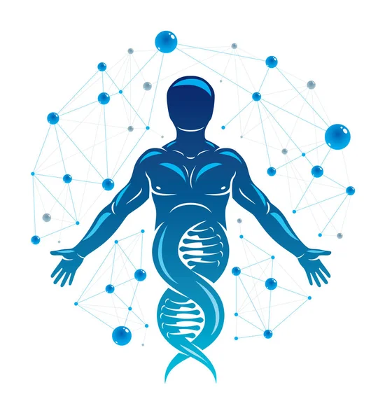 Model van menselijk Dna — Stockvector