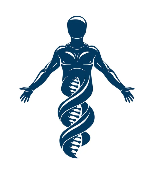 Model lidské DNA — Stockový vektor