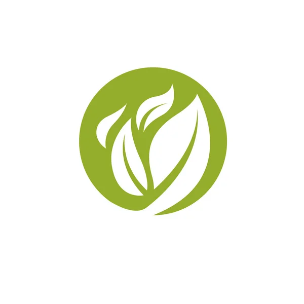 Grafikus zöld levelek — Stock Vector