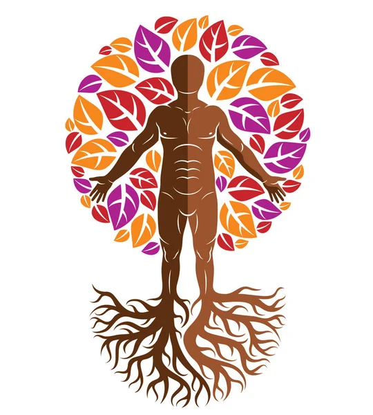 Güçlü kökleri ağacıyla devamı olarak oluşturulmuş vektör atletik erkek