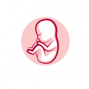 İnsan fetusu simgesi