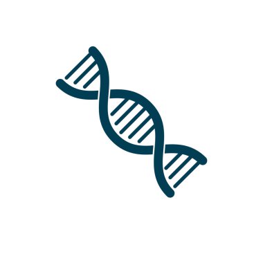 insan DNA'sı modeli