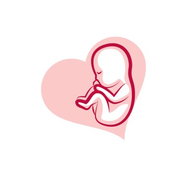 İnsan fetusu çizilmiş illüstrasyon