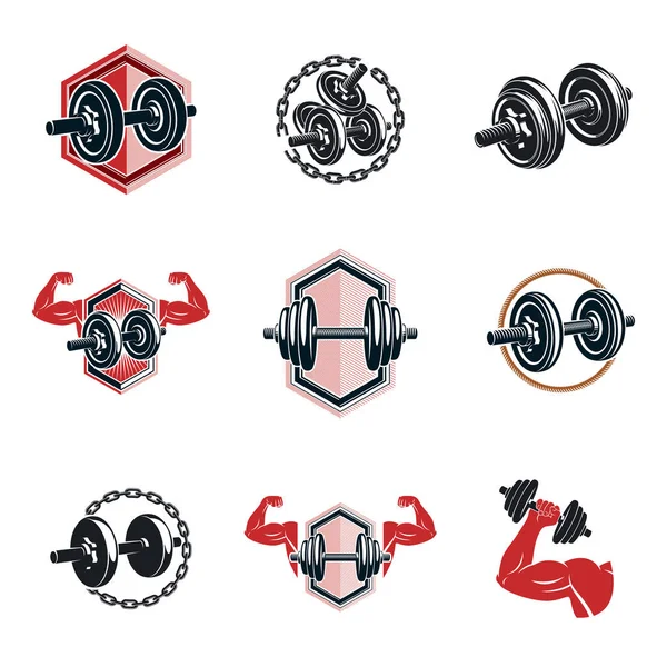 Logotipos de levantamiento de pesas y deporte gimnasio — Vector de stock