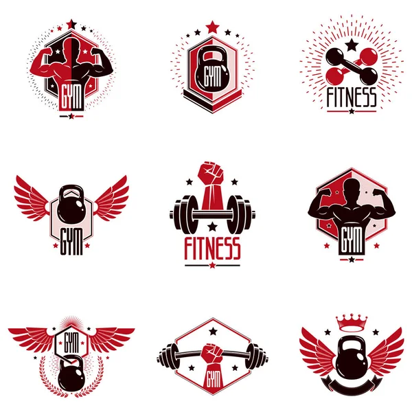 Ginásio Levantamento Peso Fitness Clube Esportes Logotipos Retro Emblemas Vetoriais —  Vetores de Stock