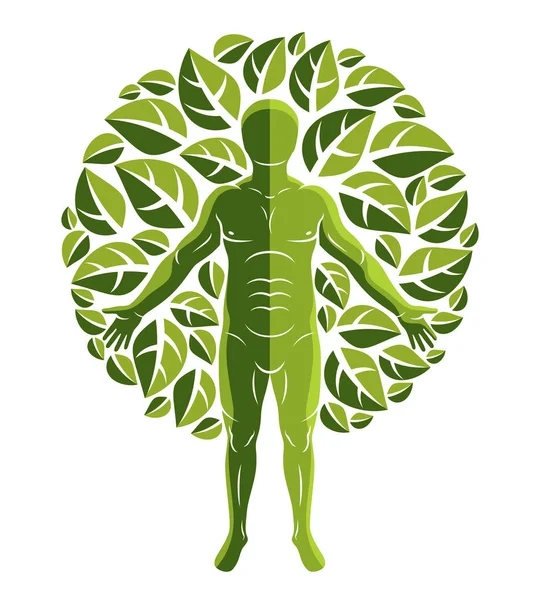 Векторный Атлетический Человек Создан Использованием Органических Зеленых Листьев Деревьев Зеленый — стоковый вектор
