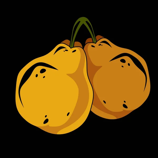 Twee Gele Eenvoudige Vector Peren Rijpe Zoete Vruchten Illustratie Gezonde — Stockvector