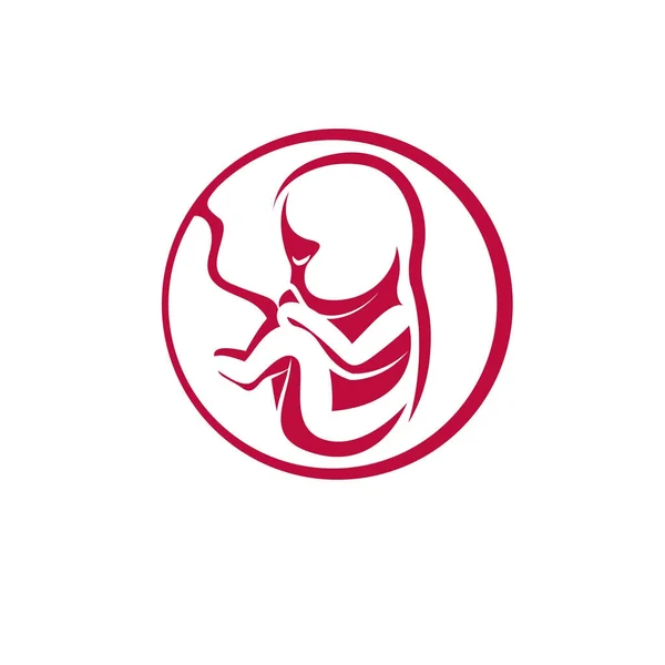 Illustration Vectorielle Dessinée Main Fœtus Humain Isolée Sur Blanc Nouveau — Image vectorielle
