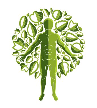 Beyaz arka plan üzerinde duran ve yeşil yaprakları kullanılarak yapılan güçlü erkek, vücut siluet vektör grafik resmini. Çiğ gıda diyet, hiçbir gm kavramı.