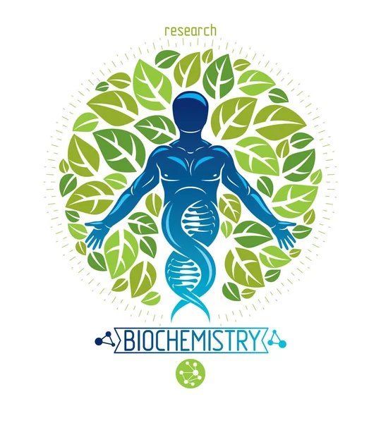 Vector Grafische Illustratie Van Gespierde Menselijke Afgebeeld Als Dna Symbool — Stockvector