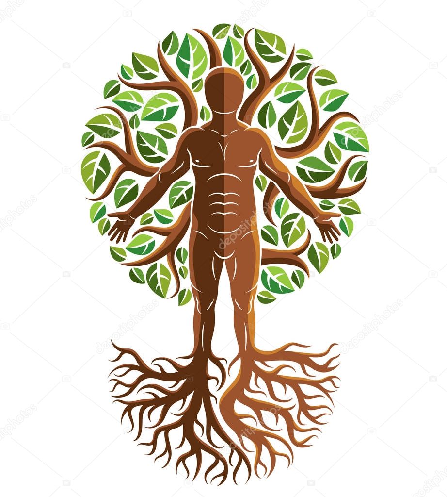 Vector graphic illustration of strong male, body silhouette standing on white background and made using tree roots and green leaves. Tree of life metaphor, family roots.