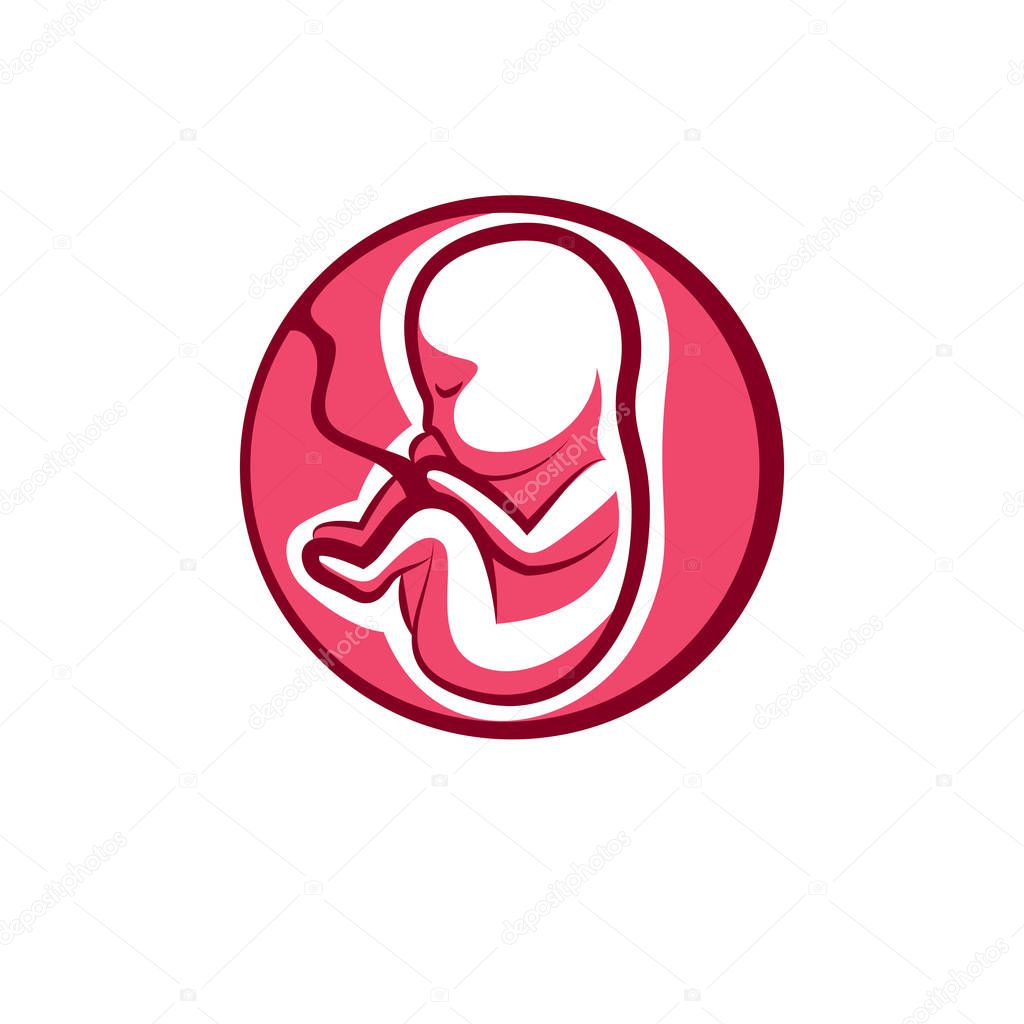 Human fetus hand-drawn vector illustration.