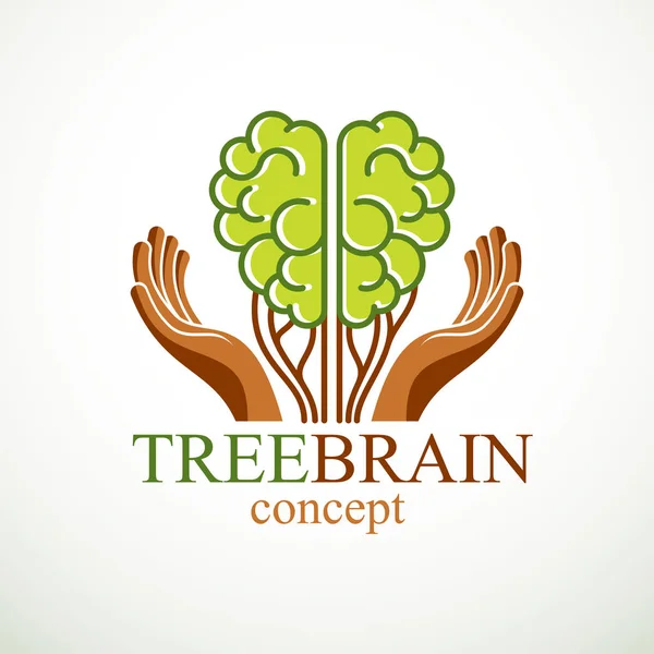 Koncepcja Mózgu Drzewa Mądrość Natury Inteligentna Ewolucja Ludzki Anatomiczny Mózg — Wektor stockowy
