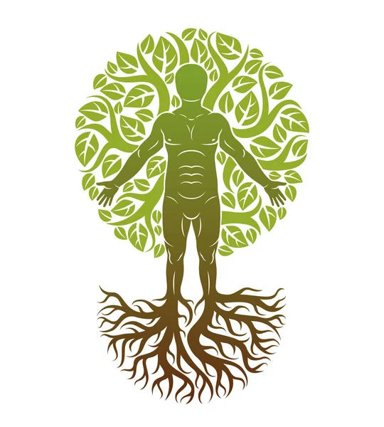 人类被创造为树的延续 具有强烈的根 使用天然的绿叶 人的成长与人格发展观 — 图库矢量图片
