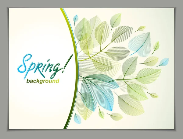 Design Horizontal Banner Spring Typing Logo Green Fresh Leaves Frame — Stock Vector