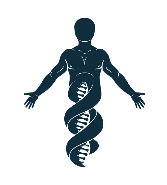 Dna 符号继续为标志的强壮雄性的矢量图解 生物工程学是遗传学的方向 — 图库矢量图片