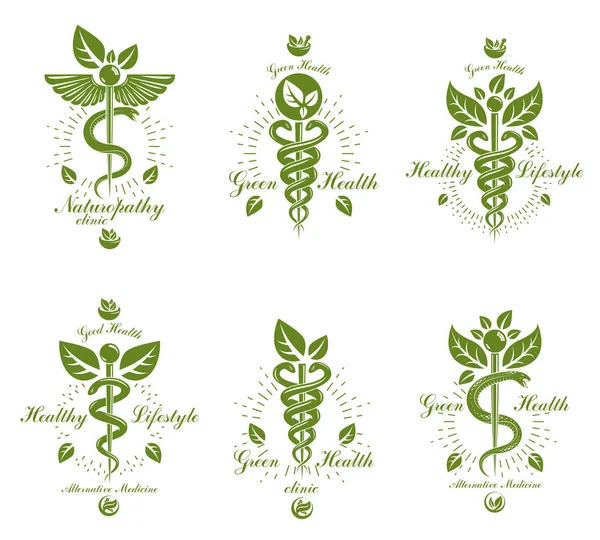 一组用蛇和绿叶创造的卡都西乌斯矢量概念符号 幸福与和谐的隐喻 替代医学概念 植物疗法标志 — 图库矢量图片