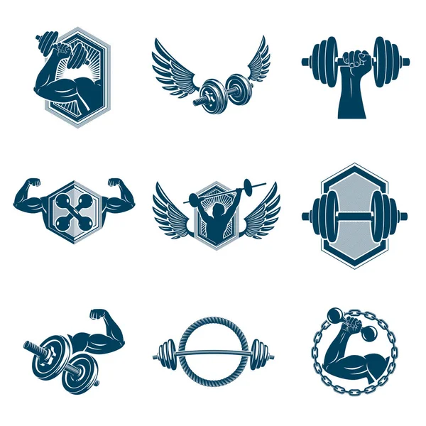 Vektor Powerlifting Theme Symbole Auf Weißem Hintergrund — Stockvektor