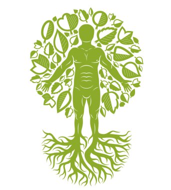 İnsan vektör çizim ağaç güçlü kökleri ile devamı olarak oluşturulan ve doğal yeşil yaprakları kullanılarak yapılır. İnsan büyüme ve Kişilik geliştirme kavramı.  