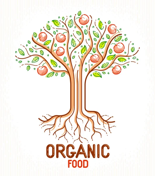 Bela árvore de frutas de maçã natural orgânico fazenda alimento vetor logotipo — Vetor de Stock