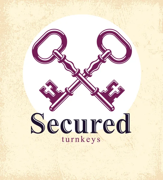 Gekreuzte Schlüssel, geschütztes Geheimnis, elektronischer Datenschutz, Schlüssel — Stockvektor