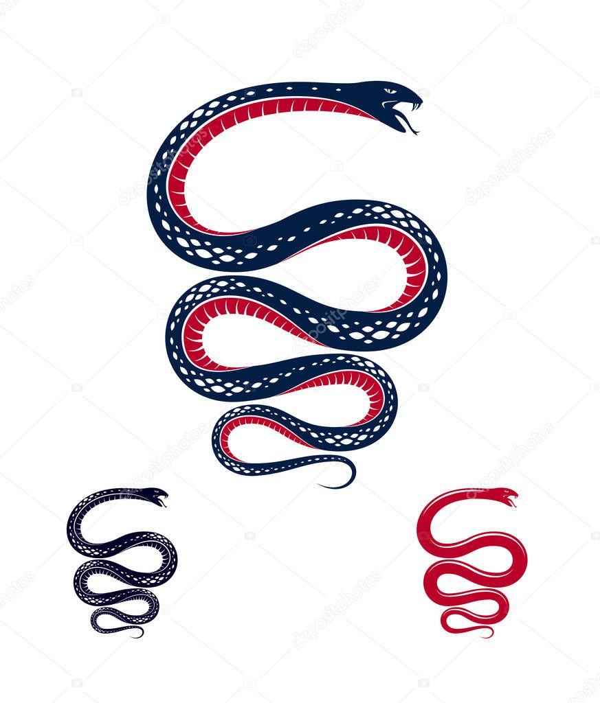 Snake vector tattoo, deadly poison dangerous serpent, venom aggressive predator reptile animal vintage style illustration.