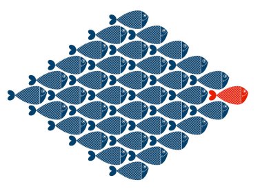 Çizgi film balıklarıyla gösterilen iş ekibi lideri vektör kavramı farklı renk, takım çalışması veya sosyal liderliktir.