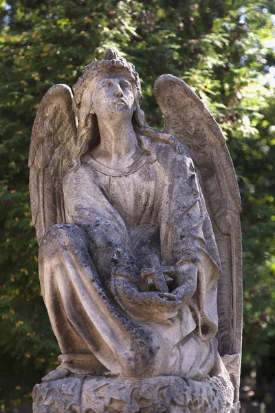 Estátua Pedra Anjo Contra Fundo Das Folhas Detalhes — Fotografia de Stock