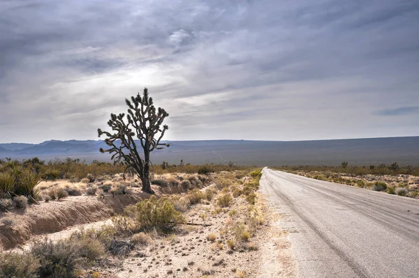 Road through the Mojave desert, California — Stock Photo, Image