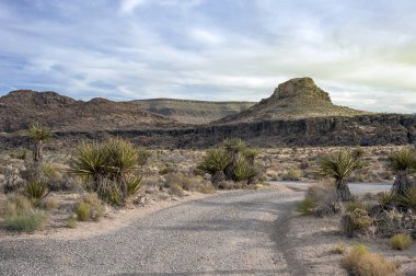 Günbatımı Mojave Çölü yolda