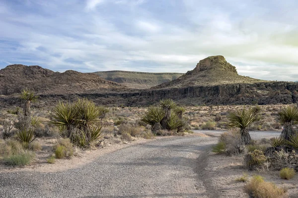 Günbatımı Mojave Çölü yolda