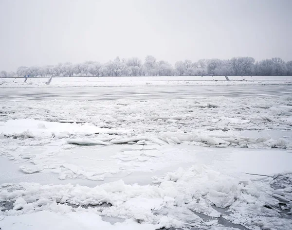 Donmuş Tuna Nehri — Stok fotoğraf