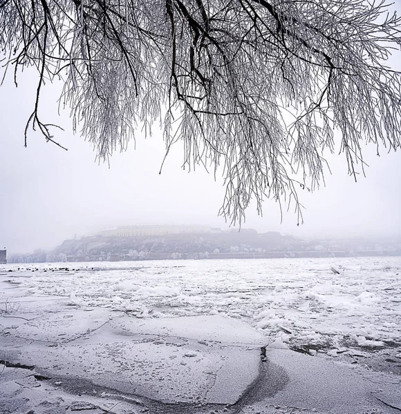 Zugefrorene Donau — Stockfoto