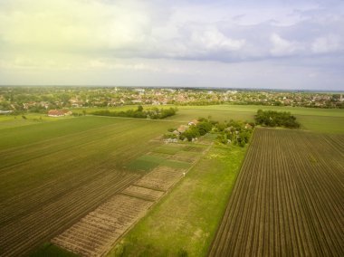 Uçan yukarıda tarım alanları