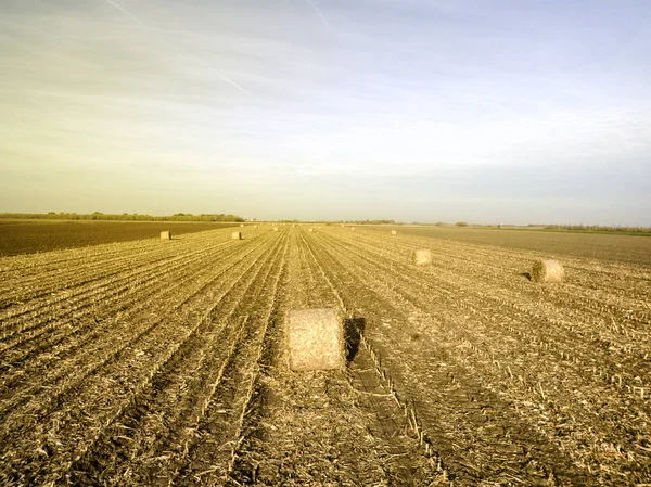 Campi agricoli in autunno — Foto Stock