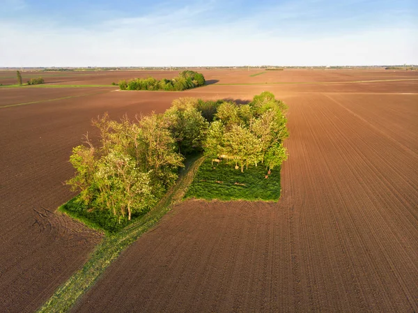 Aerial shot of Old Abandoned Ranch — Stock Photo, Image