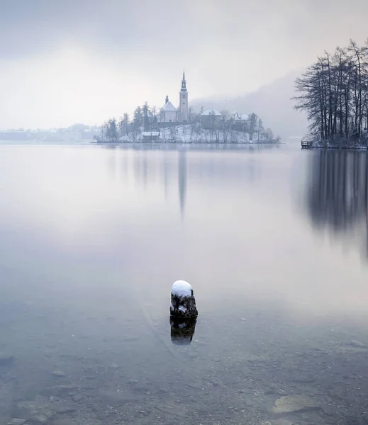 Matin d'hiver dans le magnifique parc national du lac de Bled Slovénie — Photo