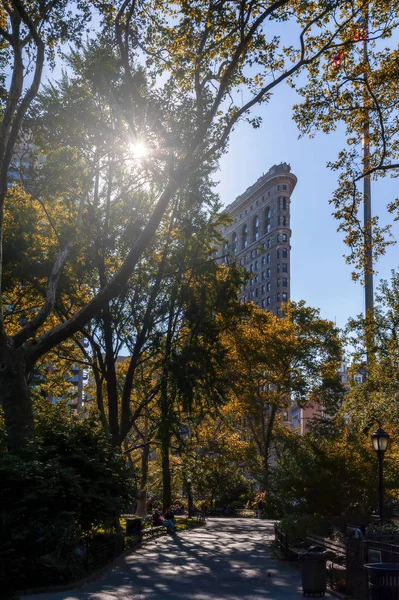 New York City Usa 2013 Madison Square Park Autumn Tree — 스톡 사진