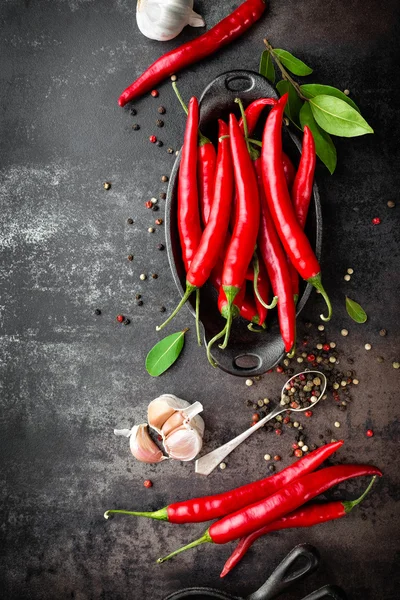 Červená horká chilli paprika — Stock fotografie