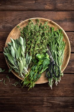 Çeşitli taze otlar