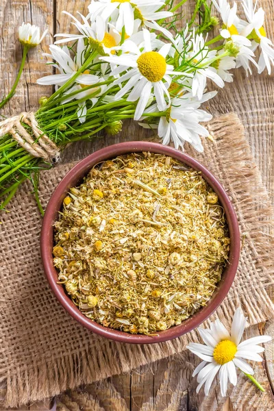 Getrocknete und frische Kamillenblüten und Blätter auf rustikalem Holzgrund — Stockfoto