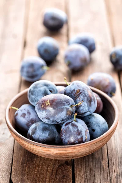 Fresh plums close up — Stock Photo, Image