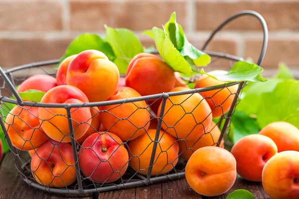 Fresh apricots with leaves in basket on wooden table — Stock Photo, Image