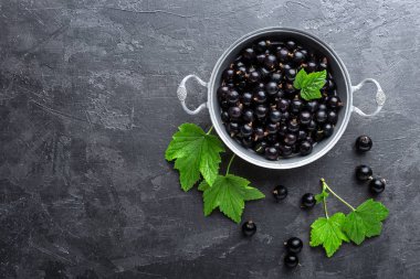 Blackcurrant meyveleri ile yaprakları, Siyah frenk üzümü
